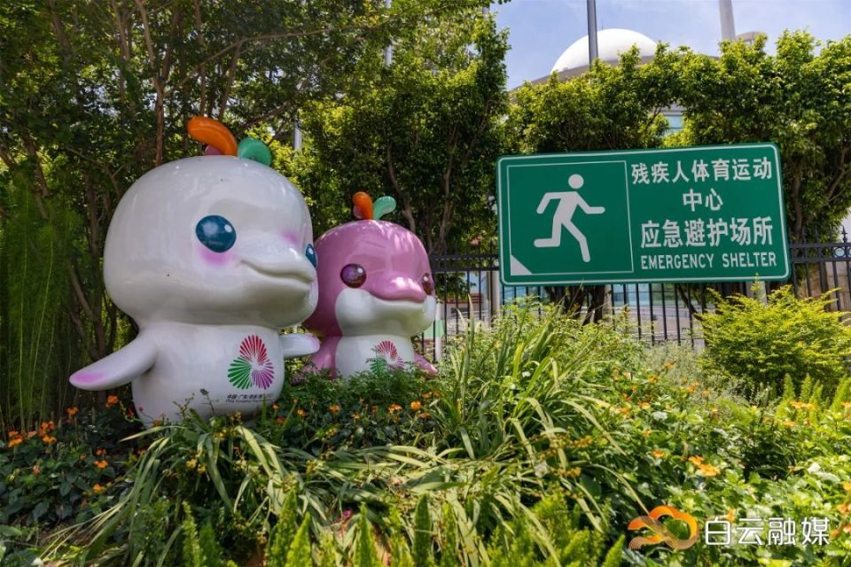 蹦床比赛上, 一场关于体