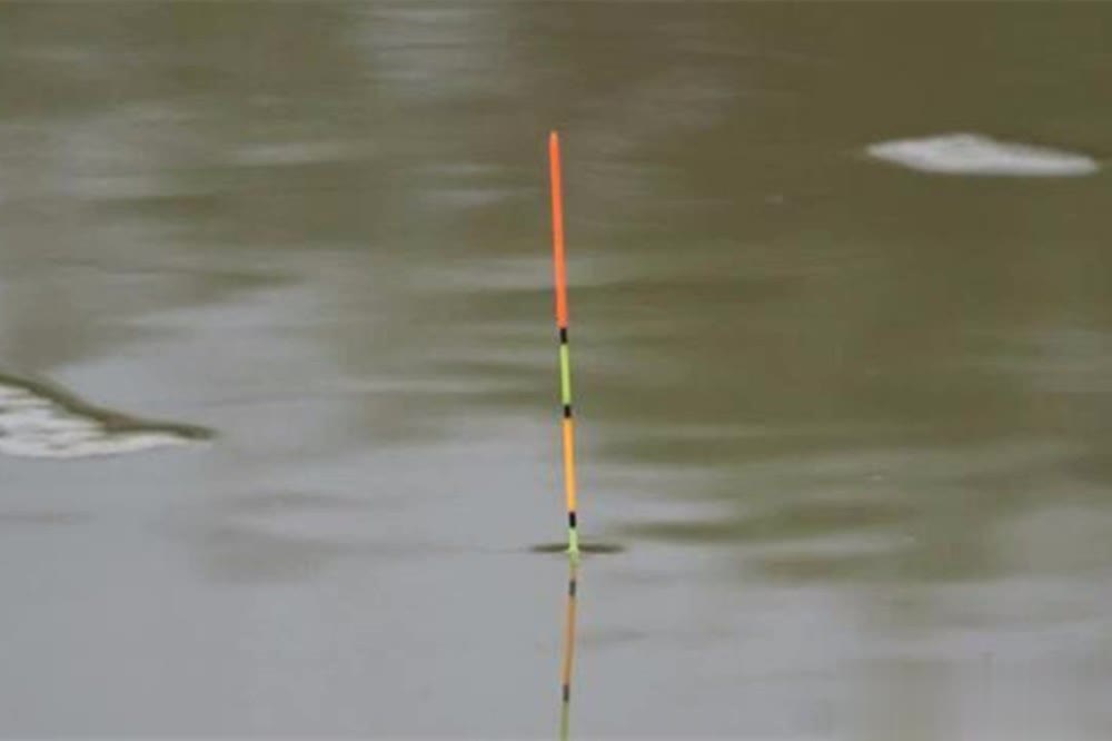 风天气鱼情 风天气鱼情