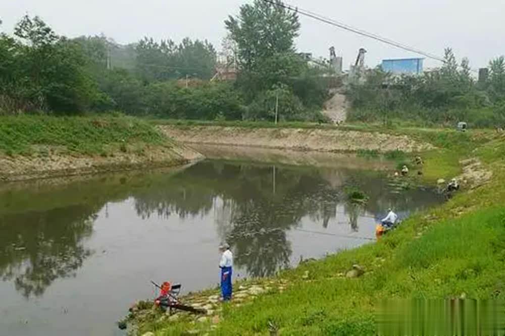 amp, 鱼效果, 最理想的选 amp, 鱼效果, 最理想的选