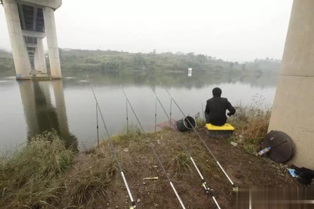 尤其是钓深, 响了漂相的, 主要大鱼进 尤其是钓深, 响了漂相的, 主要大鱼进